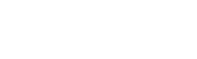 MAGNETHairProDRYER STRAIGHT IRON C