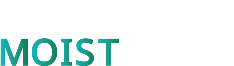 MAGNETHairProDRYER MOIST